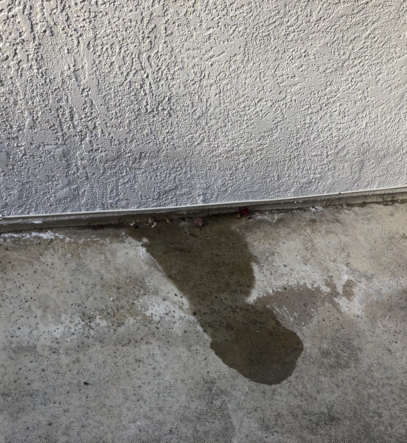Water leak detection service