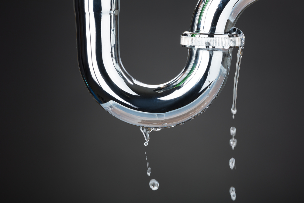 Leaking plumbing pipe inspection and repair